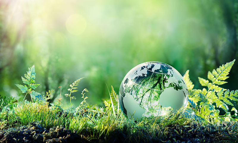 Overview-Management-approaches